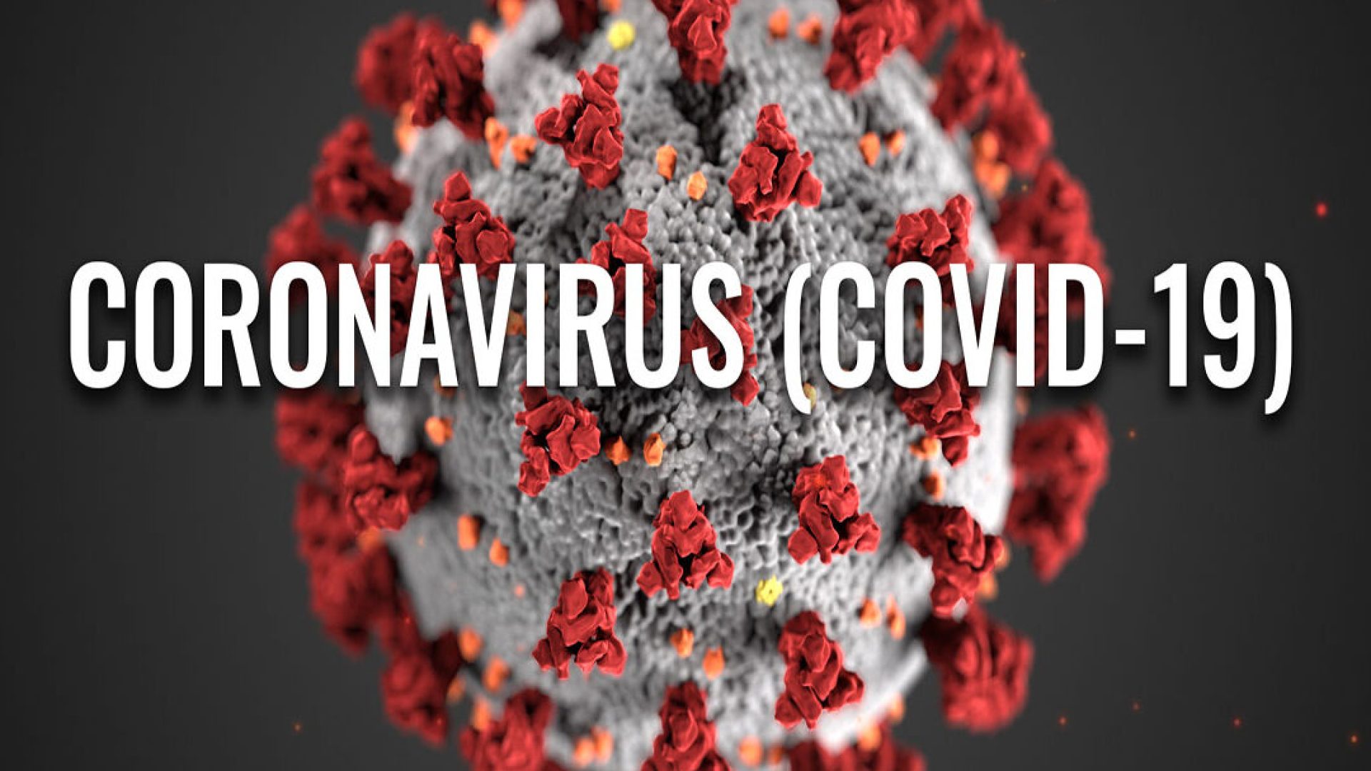 coronavirus_messinaWebTv_Politica
